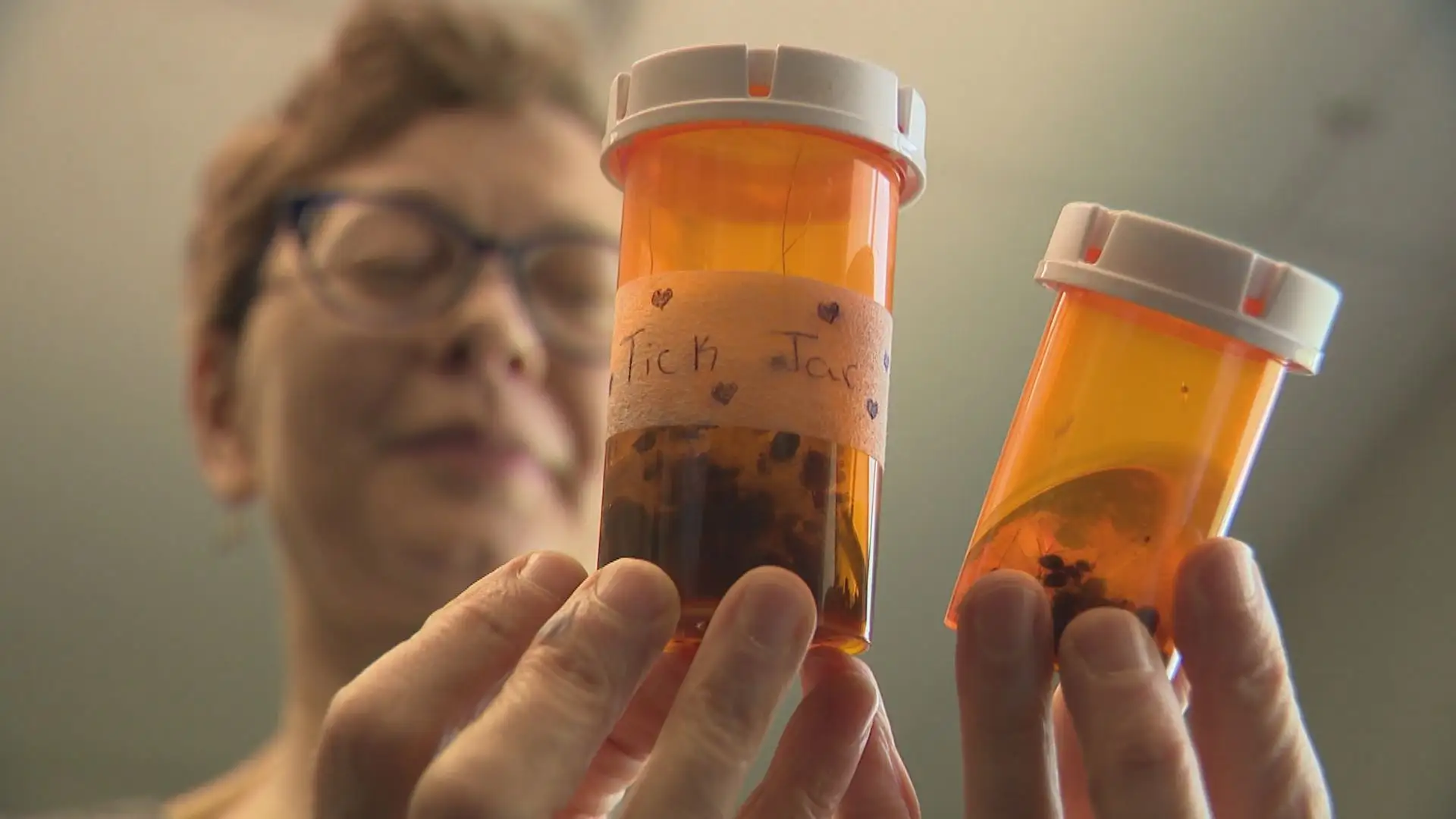 Lyme disease cases uptick in Manitoba