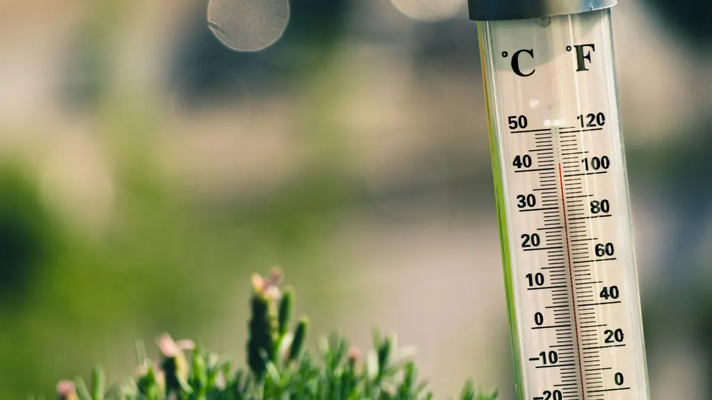 Island Health warns residents to stay cool as temperatures climb