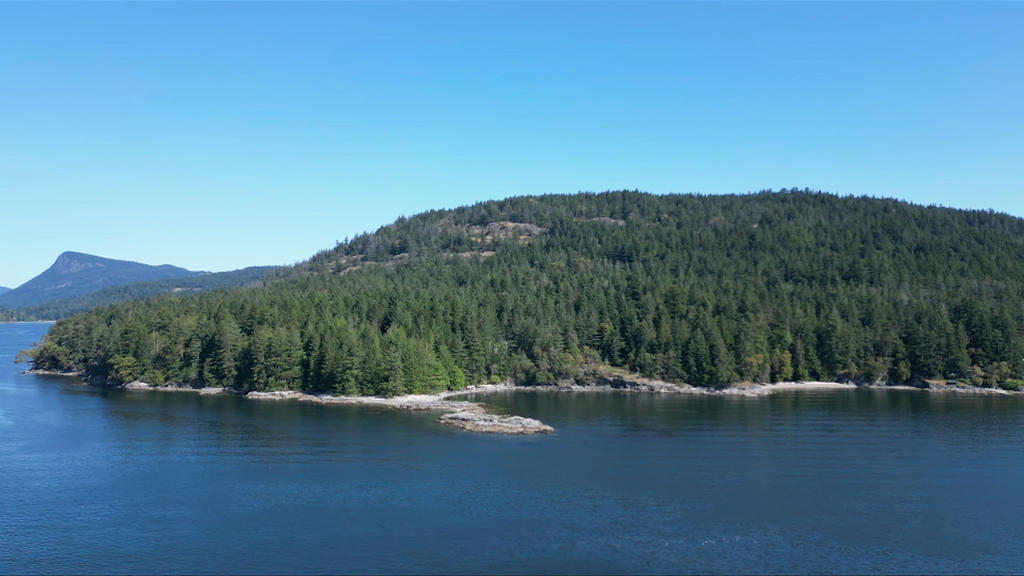 B.C. asks public to weigh in on private docks in Southern Gulf Islands, Southeast Vancouver Island