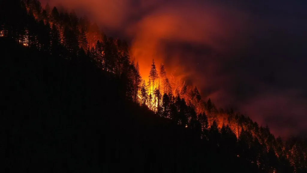 Major highways shut amid plea for Fraser Canyon residents to flee wildfires