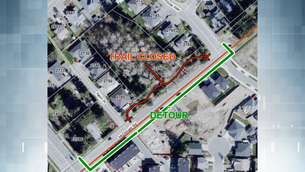 City of Courtenay closes popular trail due to danger tree, home of two protected species