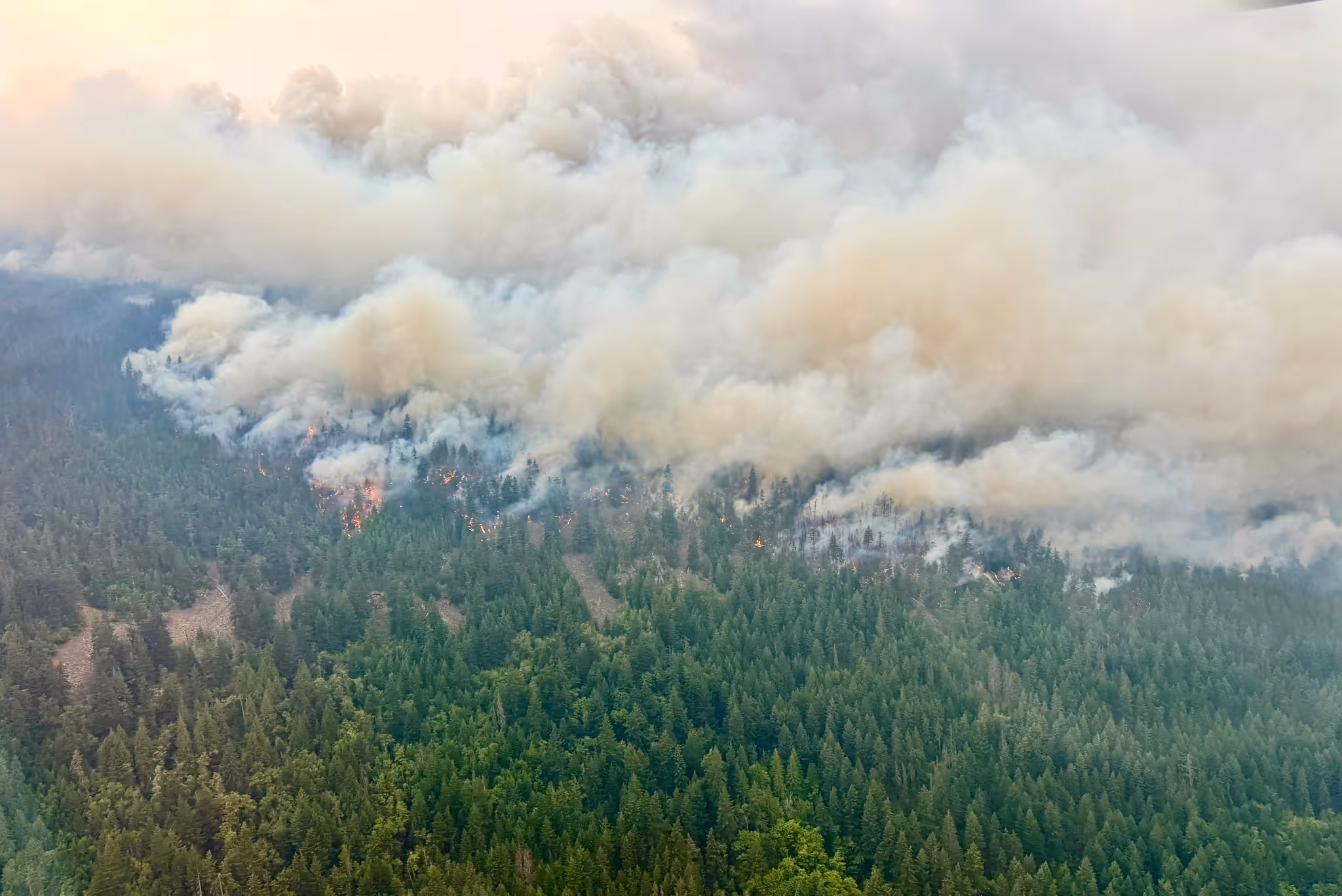 Metro Vancouver will feel near 40 degrees as air quality worsens due to wildfires