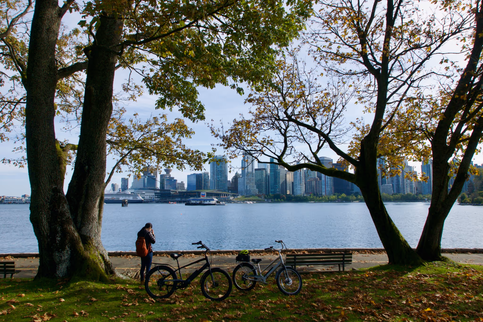 Vancouver renters kick rest of Canada's ass in dubious rental stat